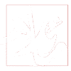 مائده صالحی